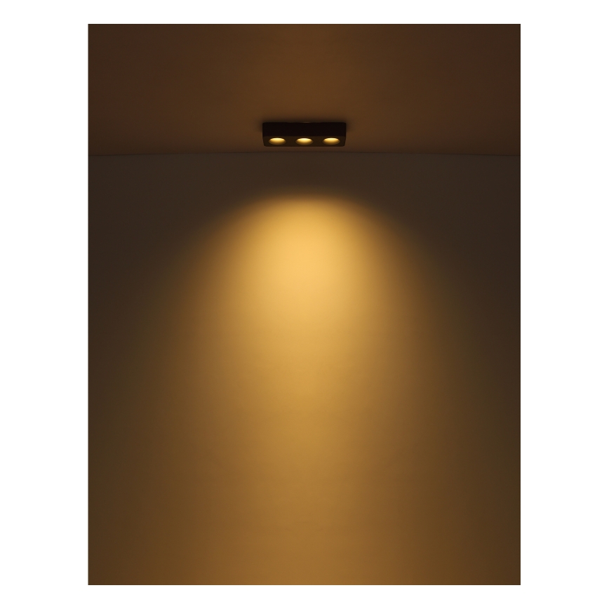 Globo - Plafón LED LED/14W/230V 11,7x33,2 cm
