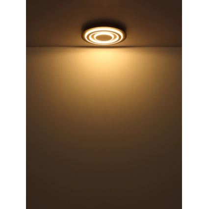 Globo - Plafón LED LED/24W/230V 3000K diá. 32 cm antracita