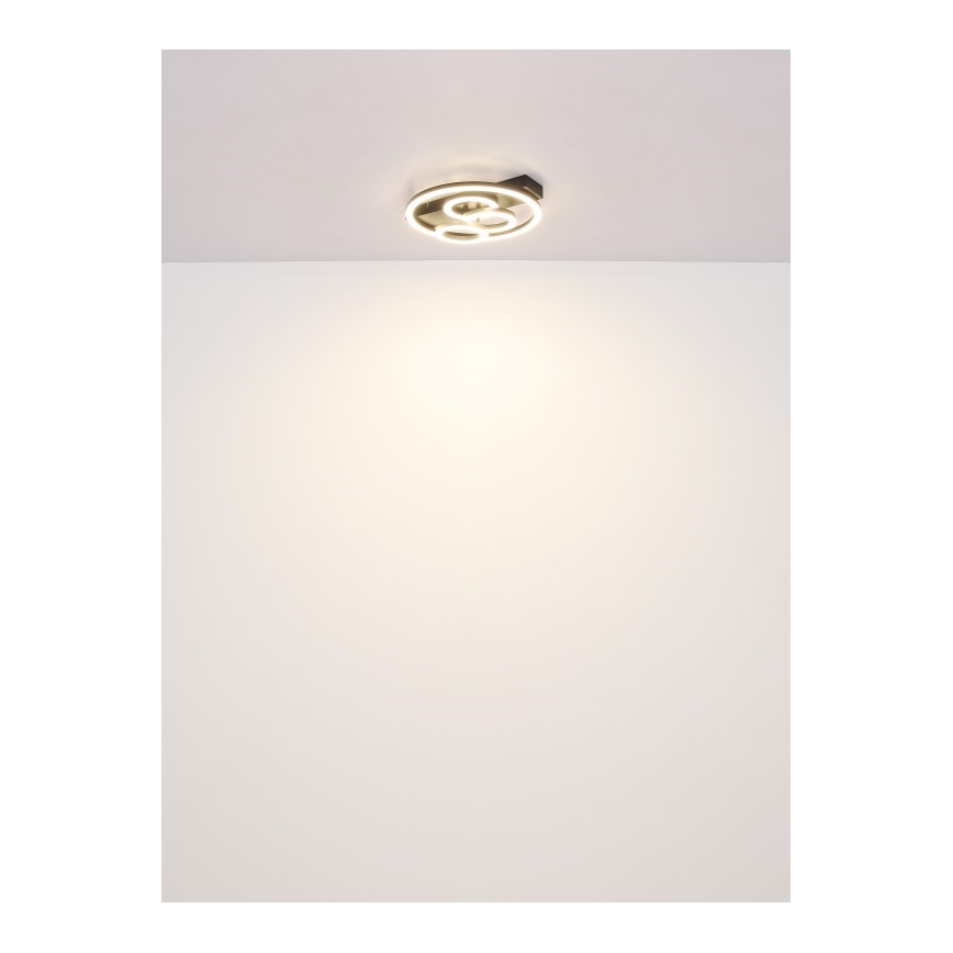 Globo - Plafón LED regulable LED/40W/230V 2700-6500K diá. 35x33 cm + control remoto