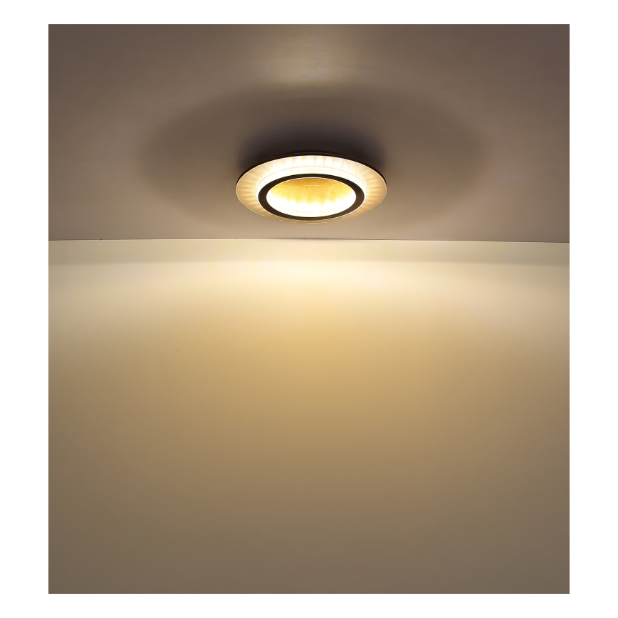 Globo - Plafón LED de techo 24W/230V 3000/4000/6500K Ø 35 cm negro