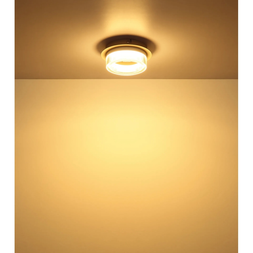 Globo - Lámpara de techo LED/8W/230V 3000K Ø 16 cm