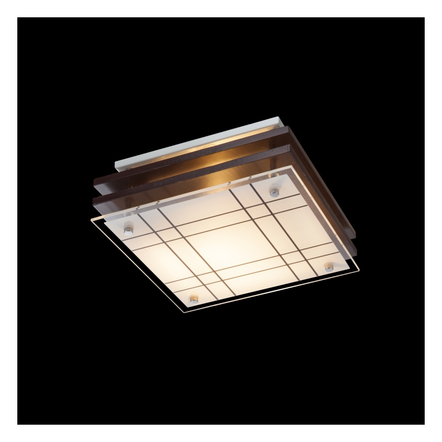 Globo 48089 - Plafón 1xE27/60W