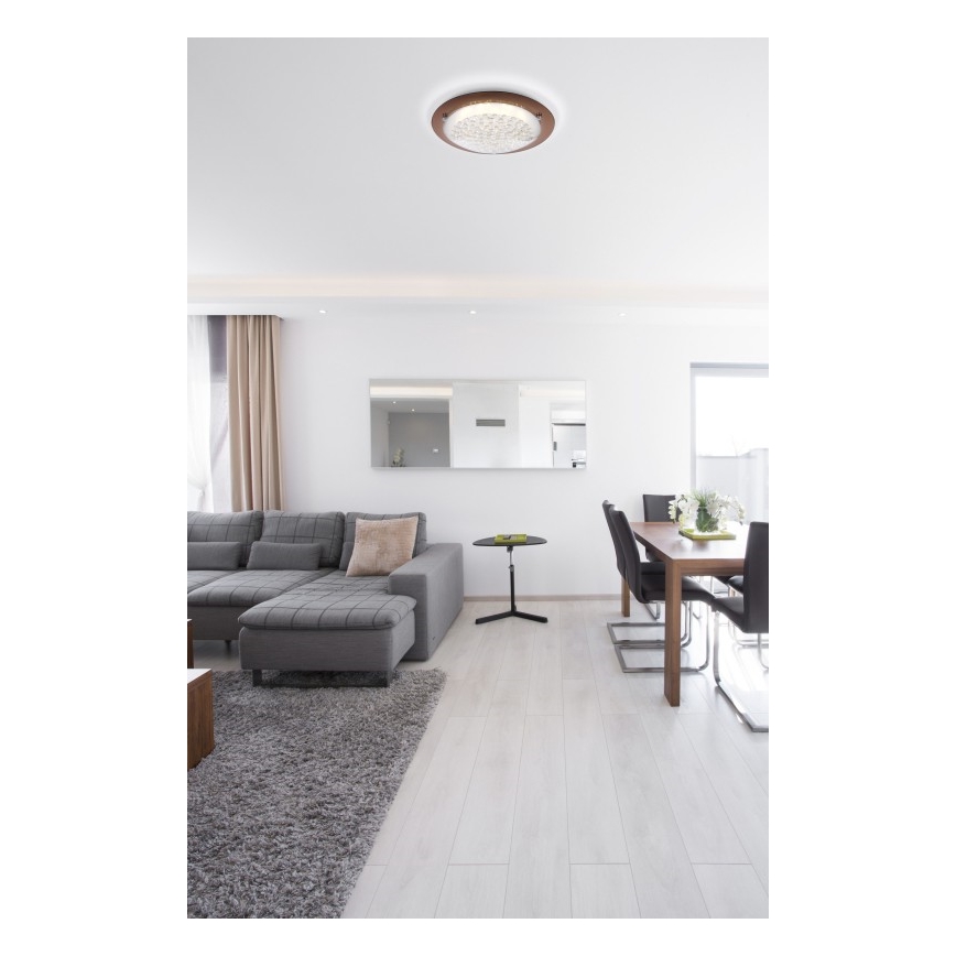 Globo - Lámpara de techo LED TABASCO LED/12W/230V