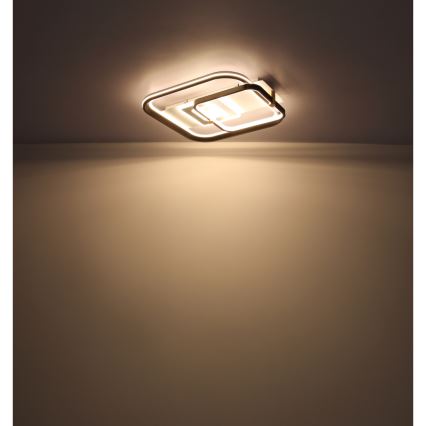 Globo 48459-48 - Lámpara de techo LED regulable ANI LED/48W/230V 2700-6000K 48x52 cm + mando a distancia