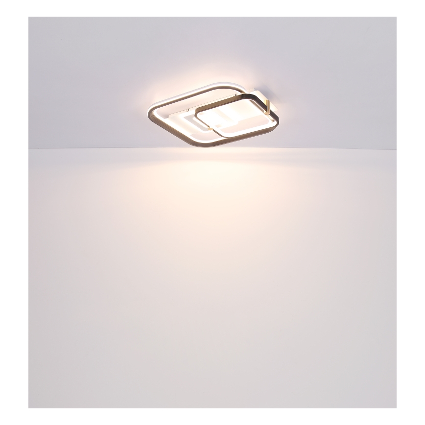 Globo 48459-48 - Lámpara de techo LED regulable ANI LED/48W/230V 2700-6000K 48x52 cm + mando a distancia