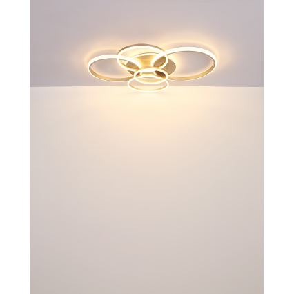 Globo - Plafón LED LED/70W/230V 3000K 88x110 cm beige