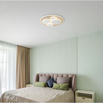 Globo - Lámpara de techo LED, 40 W, 230 V, 3000 K, Ø 49 cm