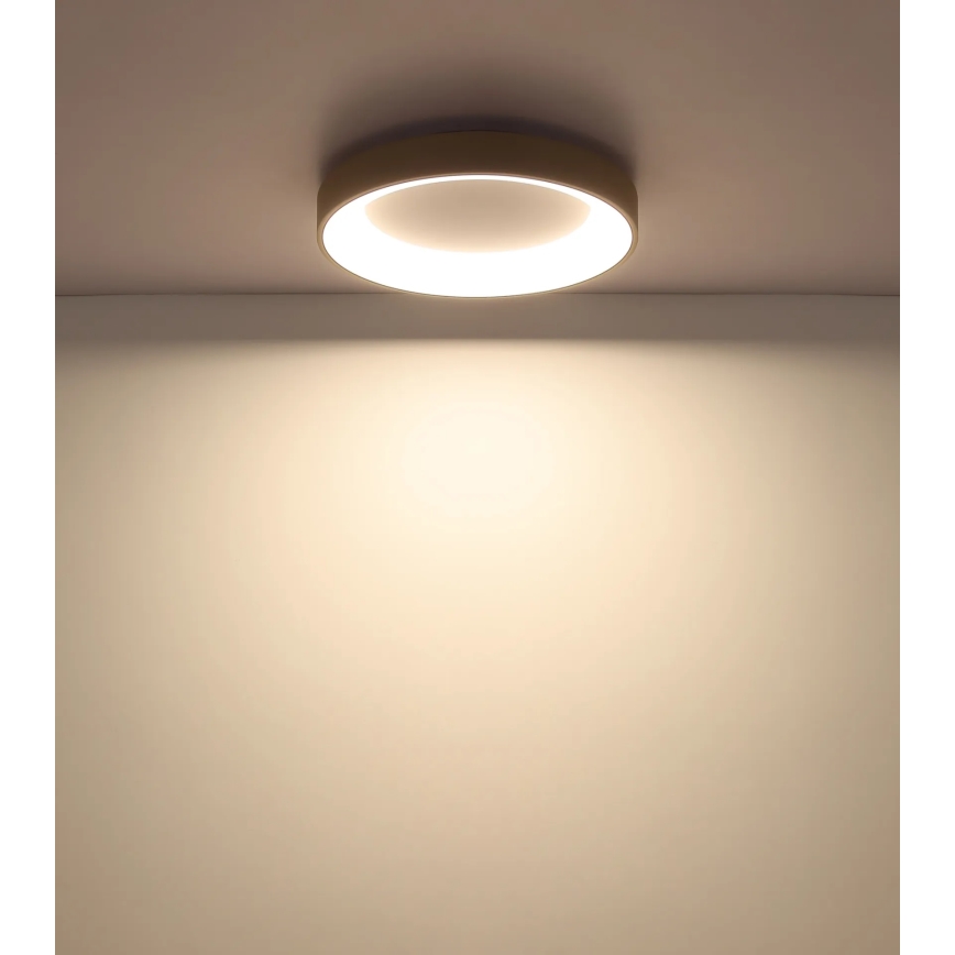 Globo - Plafón LED regulable/48W/230V 2700-6000K Ø 50 cm + mando a distancia