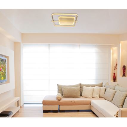 Globo - Plafón LED LED/36W/230V