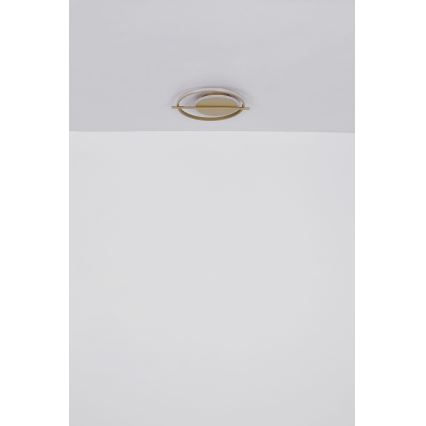 Globo - Plafón LED LED/36W/230V
