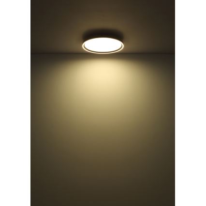 Globo - Plafón LED regulable LED/48W/230V 2700-6000K + control remoto diá. 50 cm