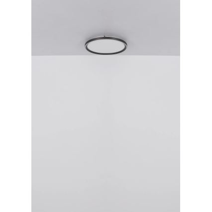 Globo - Plafón LED regulable LED/48W/230V 2700-6000K + control remoto diá. 50 cm