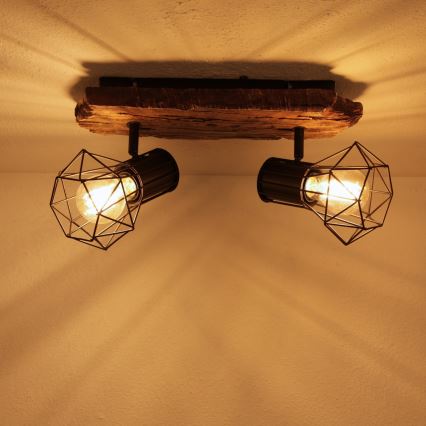 Globo - Lámpara de techo con 2 focos E27/60W/230V