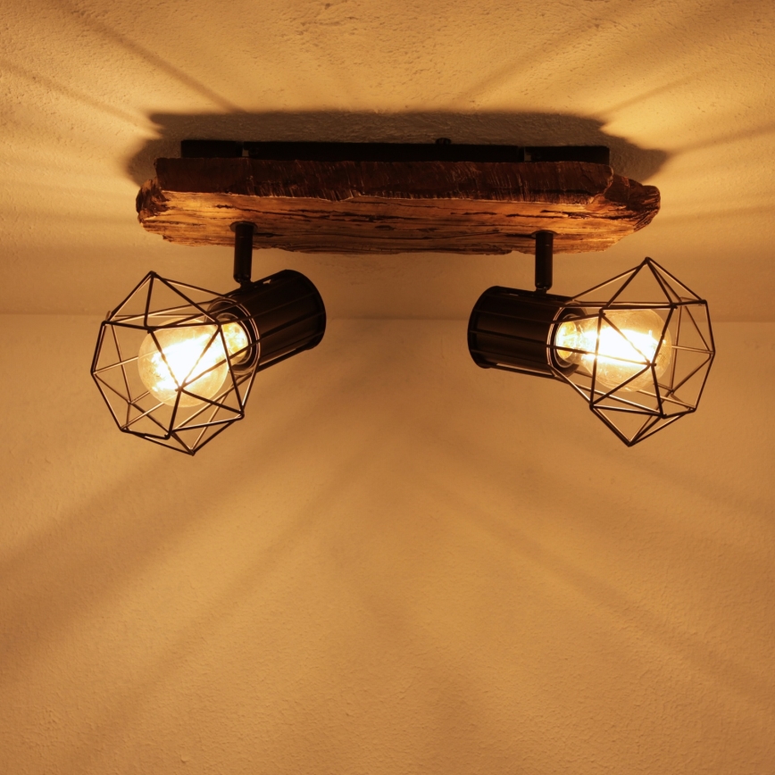 Globo - Lámpara de techo con 2 focos E27/60W/230V