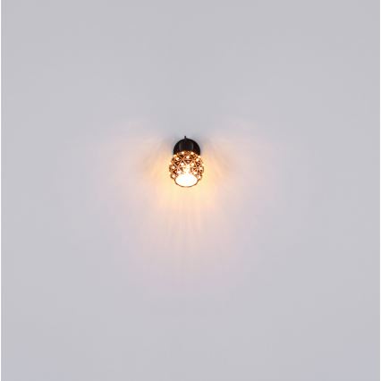 Globo - Foco de pared 1xE27/40W/230V