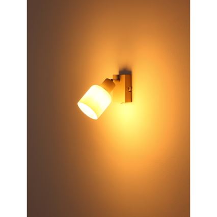 Globo - Aplique de pared orientable 1xE14/25W/230V