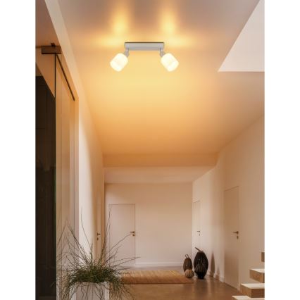 Globo - Foco 2xE14/25W/230V