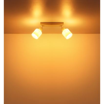 Globo - Foco 2xE14/25W/230V