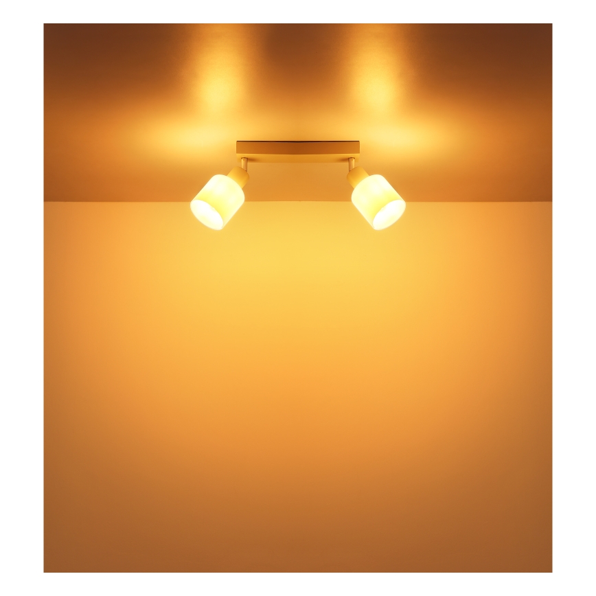 Globo - Foco 2xE14/25W/230V