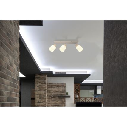 Globo - Lámpara de focos 3xE14/25W/230V