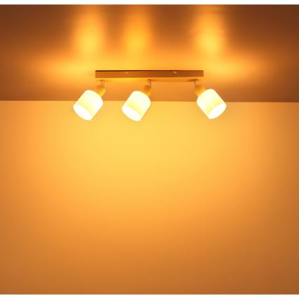 Globo - Lámpara de focos 3xE14/25W/230V