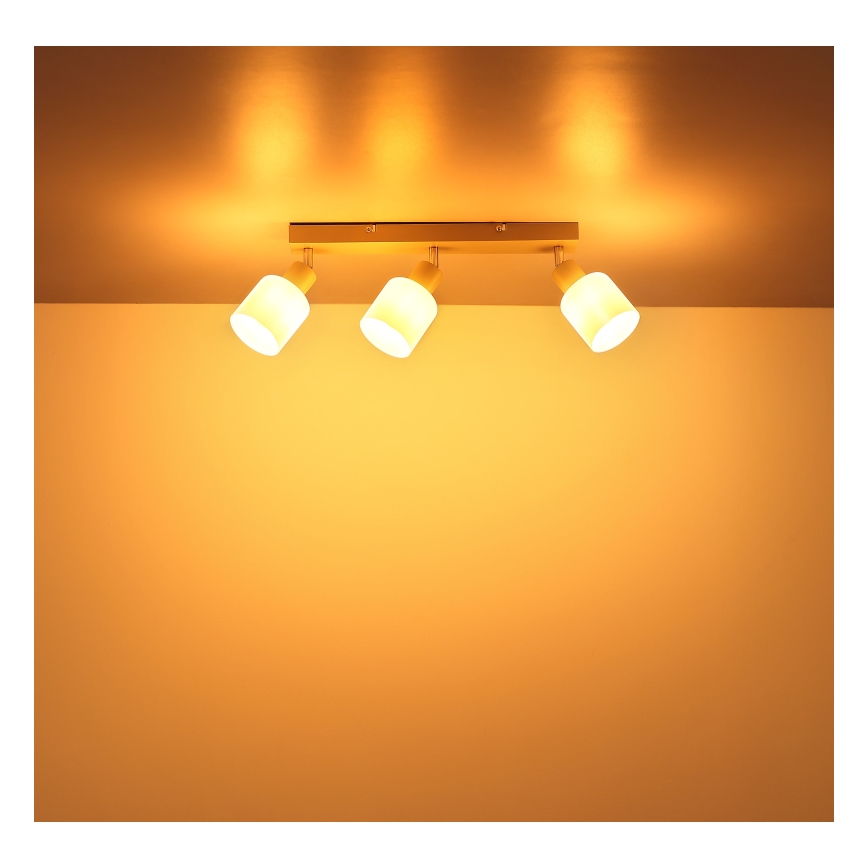 Globo - Lámpara de focos 3xE14/25W/230V