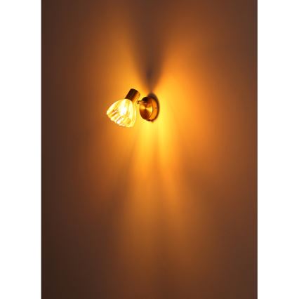 Globo - Foco de pared 1xE14/40W/230V dorado