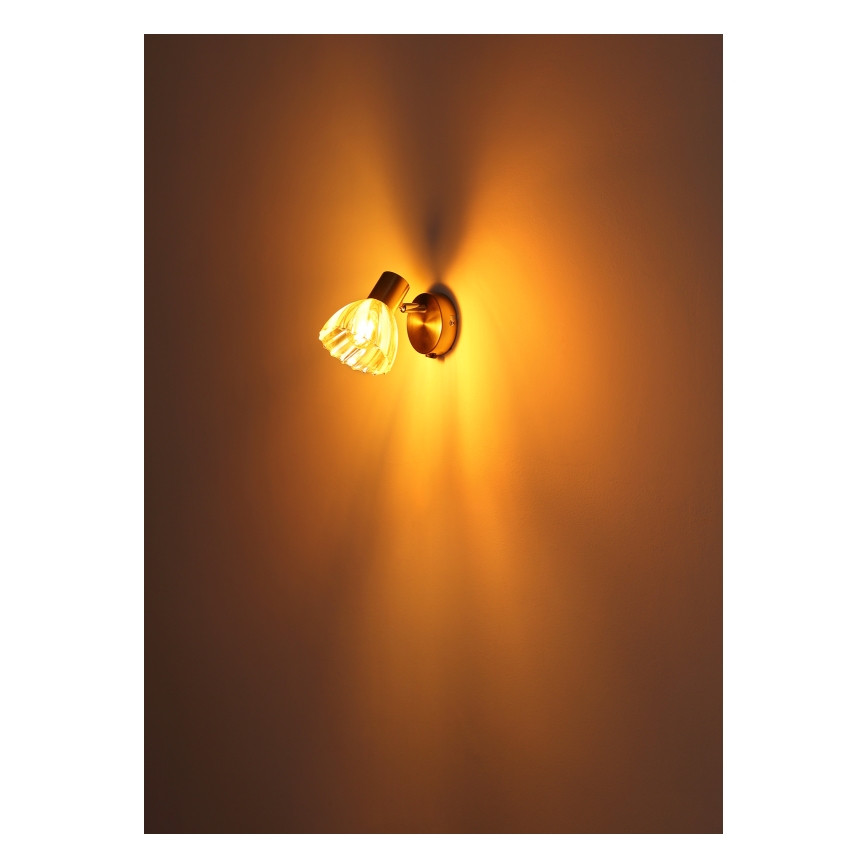 Globo - Foco de pared 1xE14/40W/230V dorado