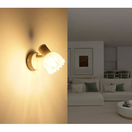 Globo - Aplique de pared con foco 1xE14/40W/230V