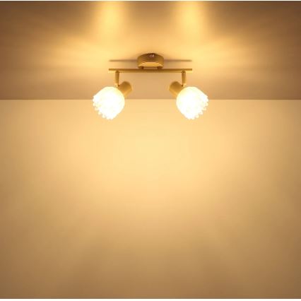 Globo - Foco orientable 2xE14/40W/230V