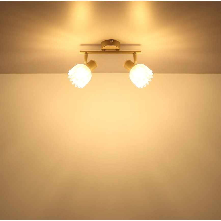 Globo - Foco orientable 2xE14/40W/230V