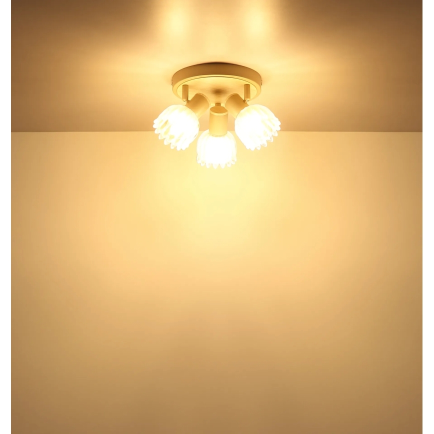 Globo - Lámpara de focos 3xE14/40W/230V