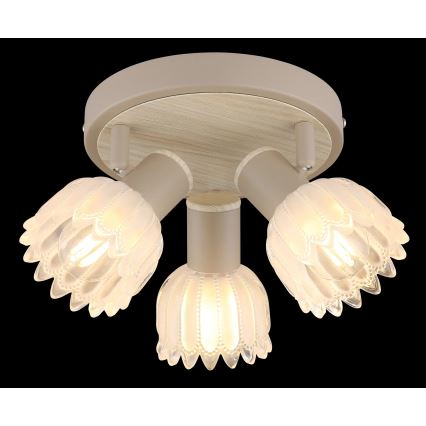 Globo - Lámpara de focos 3xE14/40W/230V