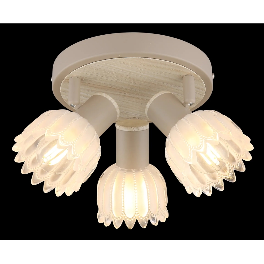 Globo - Lámpara de focos 3xE14/40W/230V