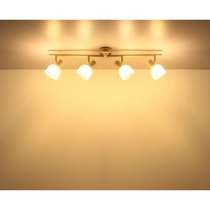 Globo - Lámpara de techo con 4 focos 4xE14/40W/230V