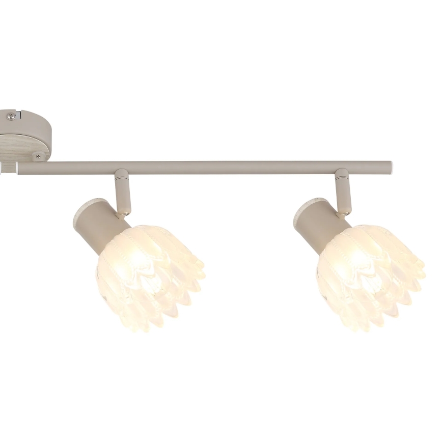 Globo - Lámpara de techo con 4 focos 4xE14/40W/230V
