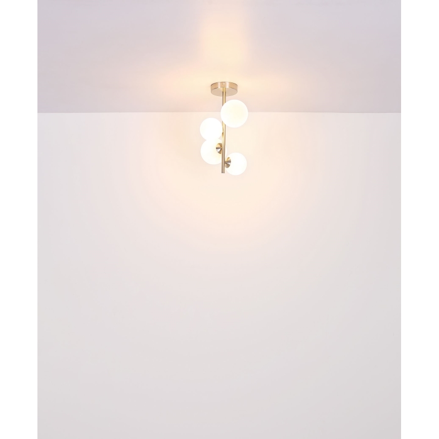 Globo - Lámpara colgante LED 4xG9/3W/230V cromo mate