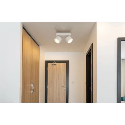 Globo - Foco LED 2xLED/6W/230V