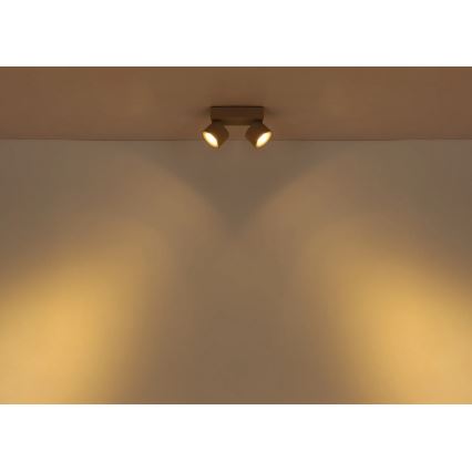 Globo - Foco LED 2xLED/6W/230V
