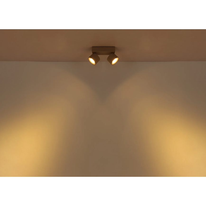 Globo - Foco LED 2xLED/6W/230V