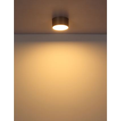 Globo - Lámpara de techo LED/12W/230V Ø 15 cm 3000K latón
