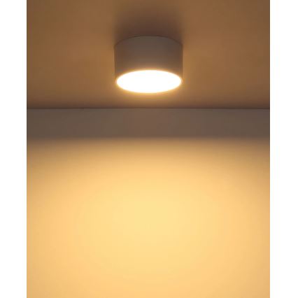 Globo - Plafón LED 12W 230V 3000K, Ø 15 cm, blanco