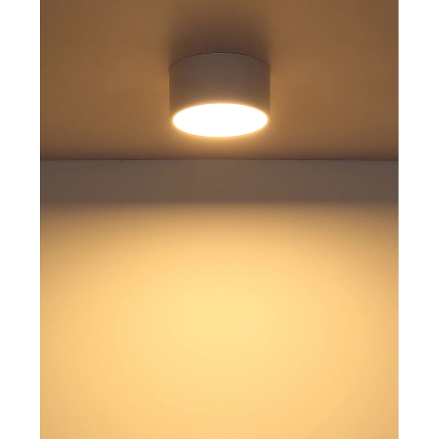 Globo - Plafón LED 12W 230V 3000K, Ø 15 cm, blanco