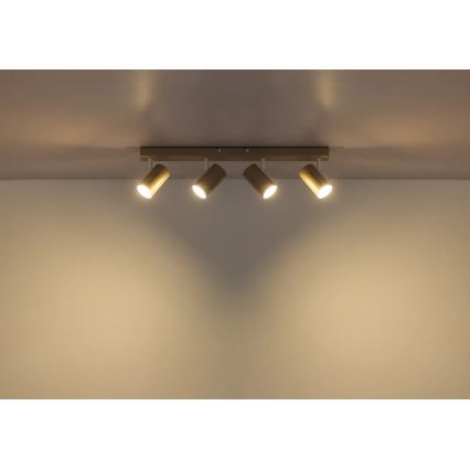 Globo - Lámpara de focos 4xGU10/35W/230V beige