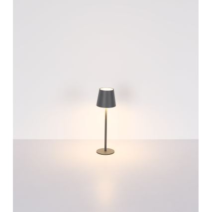 Globo 58438G - Lámpara de exterior LED táctil regulable VANNIE LED/3W/3,7V IP44