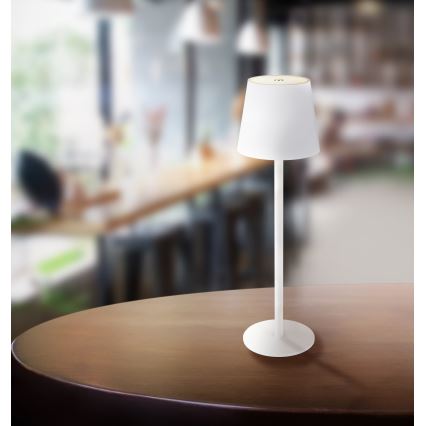 Globo 58438W - Lámpara de exterior LED táctil regulable VANNIE LED/3W/3,7V IP44 blanco
