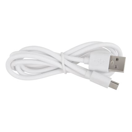 Globo - Lámpara de mesa regulable LED táctil 4en1 LED/6W/3,7V 3000K/4000K/6500K 1500 mAh USB blanco