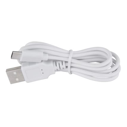 Globo - Lámpara de mesa táctil LED regulable LED/1W/3,7V 3000K 1800 mAh USB blanca