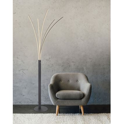 Globo - Lámpara de pie táctil LED regulable LED/36W/230V negra