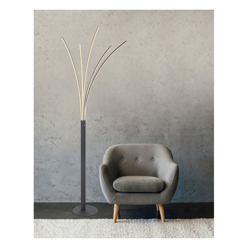 Globo - Lámpara de pie táctil LED regulable LED/36W/230V negra